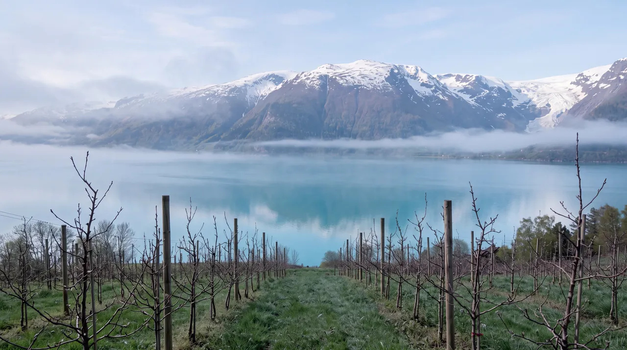 Morgondis over fjorden og ein frukthage som enno ikkje har sprunge ut.